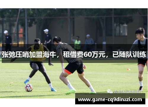 张弛压哨加盟海牛，租借费60万元，已随队训练
